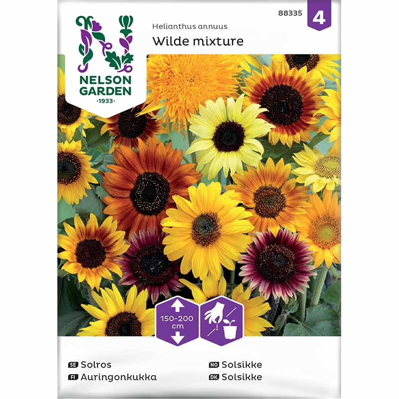 Auringonkukka 'Wilde mixture'
