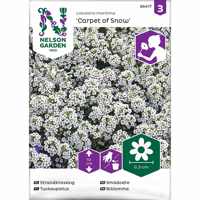 Rantakukinto 'Carpet of Snow'