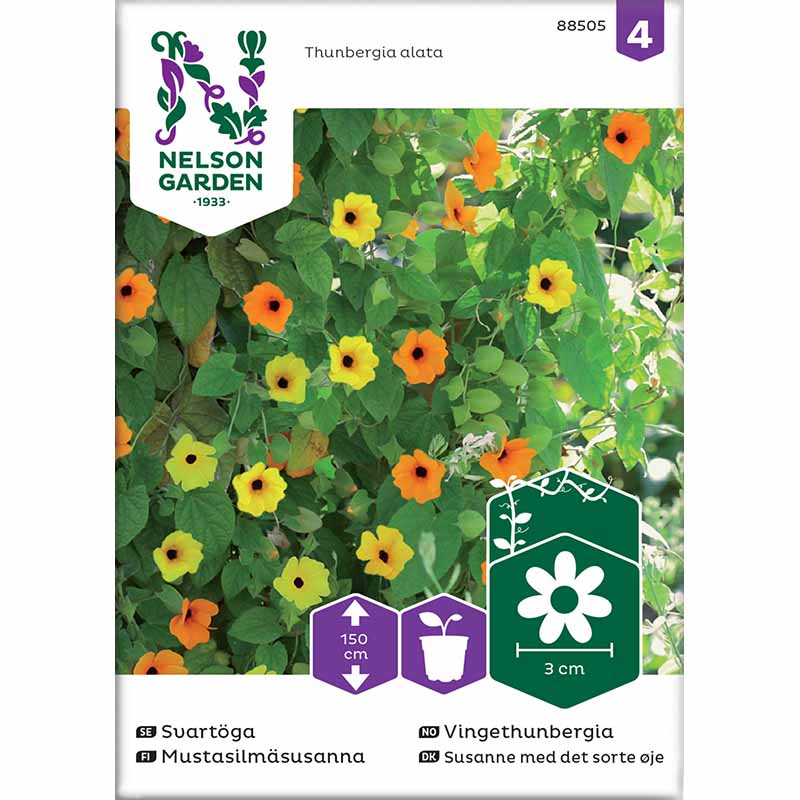 Mustasilmäsusanna sekoitus