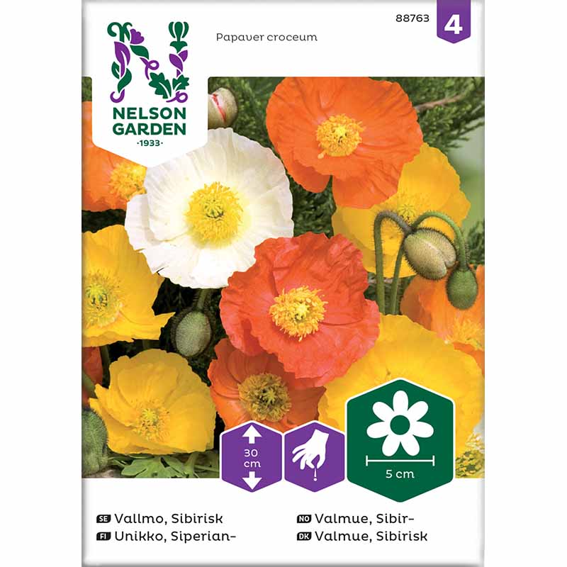 Siperiankeltano sekoitusvärejä