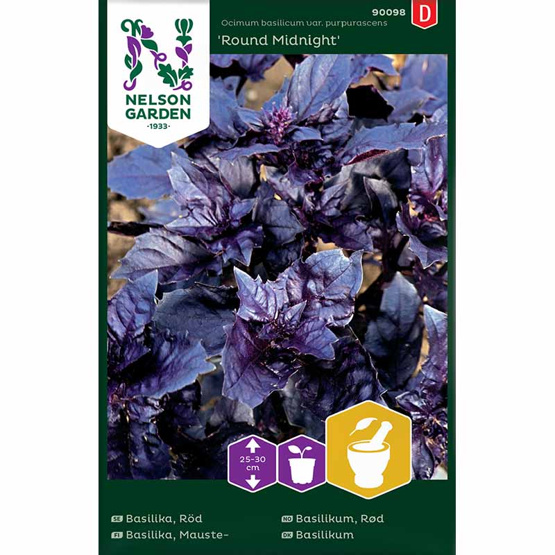 Basilika 'Round Midnight'