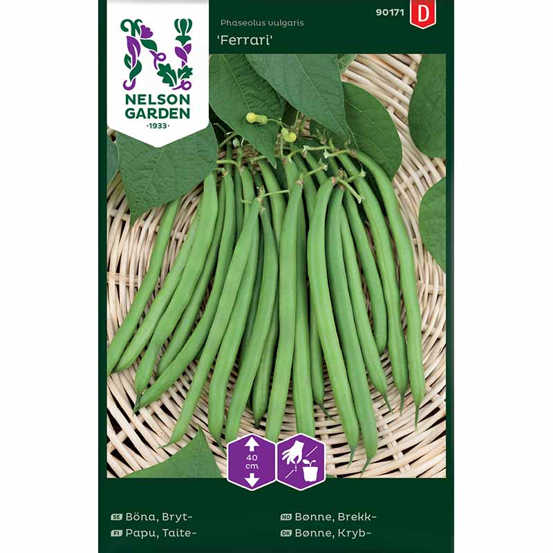 Snap Bean 'Ferrari'