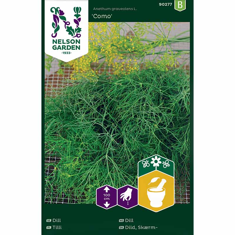 Tilli 'Como'