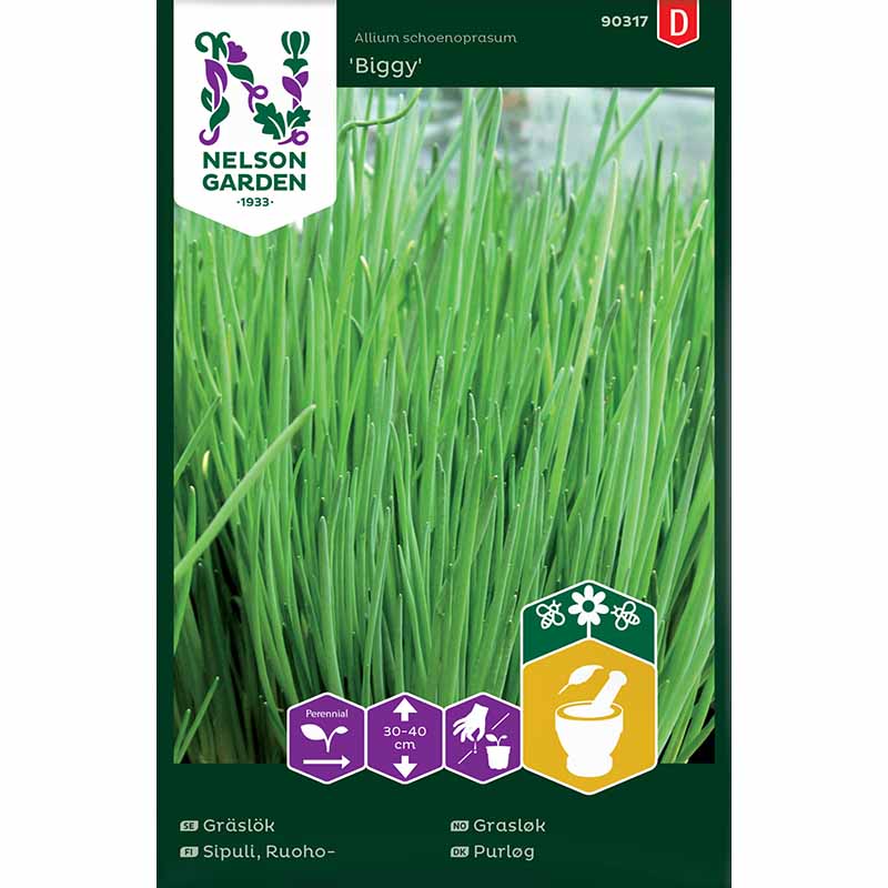 Ruohosipuli 'Biggy'