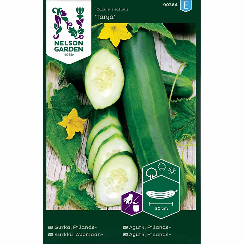 Salaattikurkku 'Tanja'