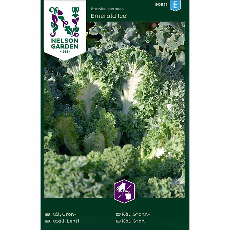 Lehtikaali 'Emerald Ice'