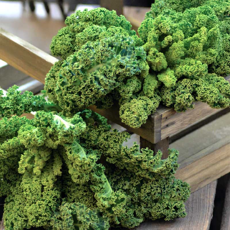 Lehtikaali 'Westlandse Winter' Organic