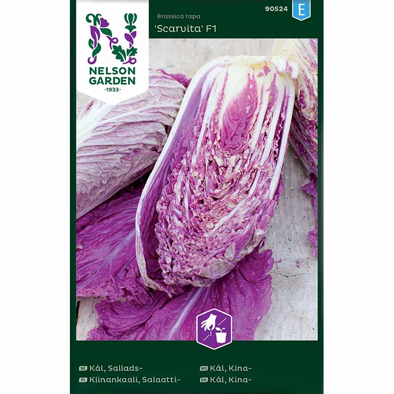 Salaattikiinankaali 'Scarvita F1'
