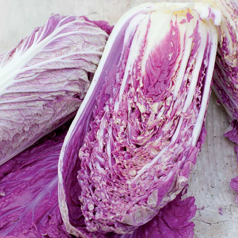 Salaattikiinankaali 'Scarvita F1'