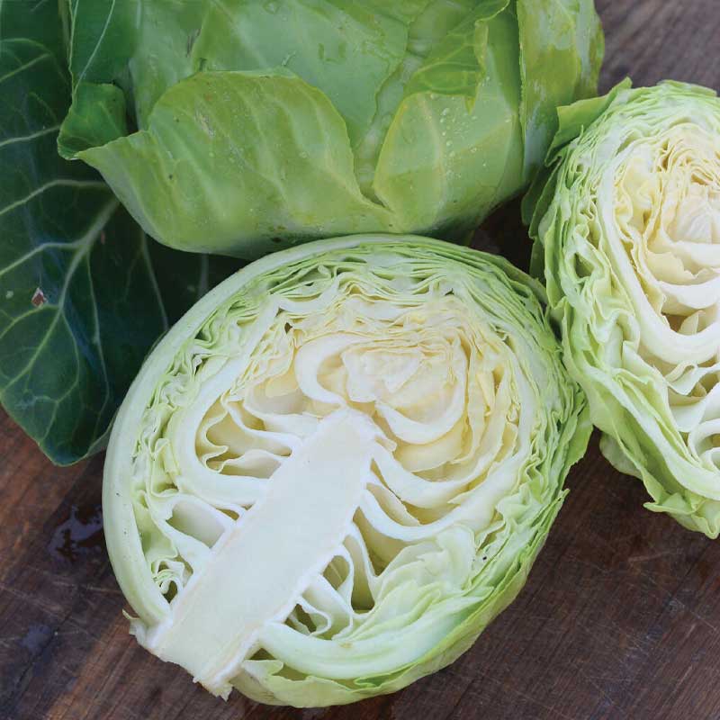 Valkokaali 'Beatrix F1'