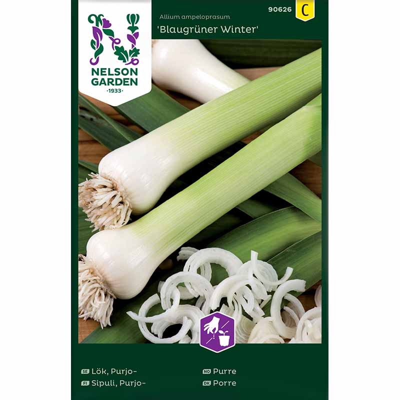 Purjo 'Blaugrüner Winter'