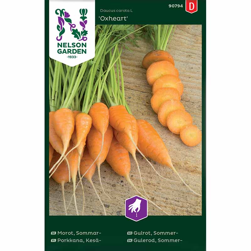 Kesäporkkana 'Oxheart'