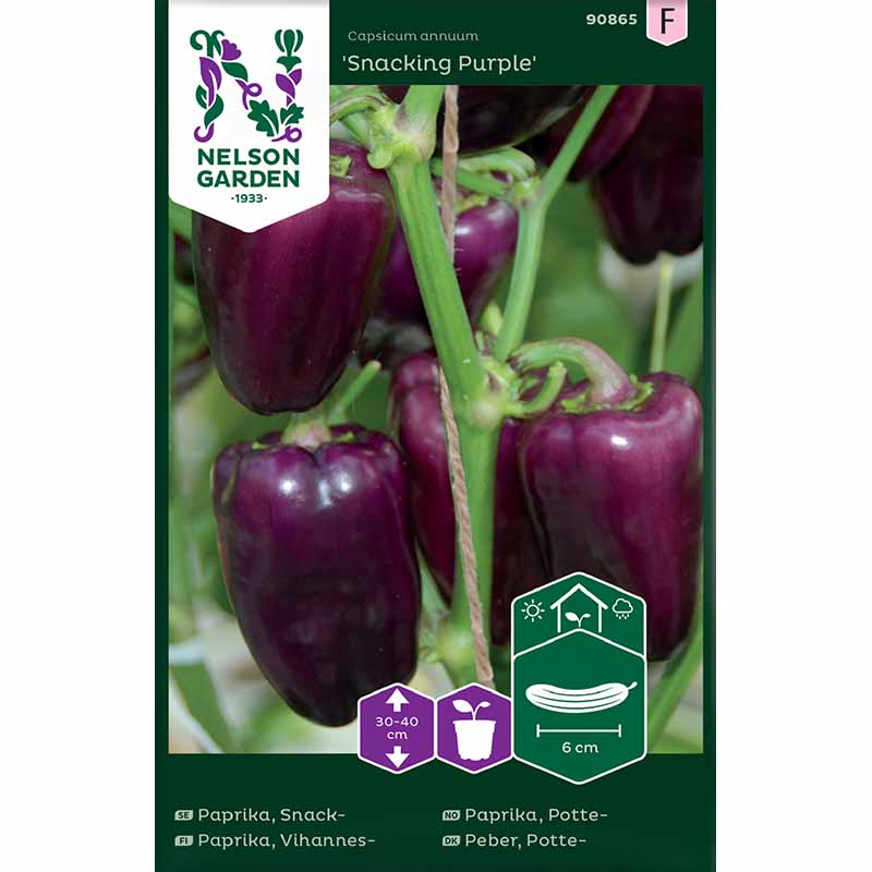 Välipalapaprika 'Snacking Purple'
