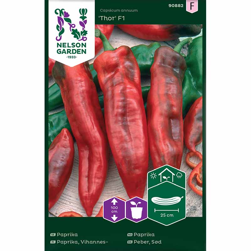 Paprika 'Thor'F1