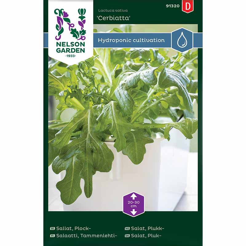 Lehtisalaatti 'Cerbiatta' - Harvy