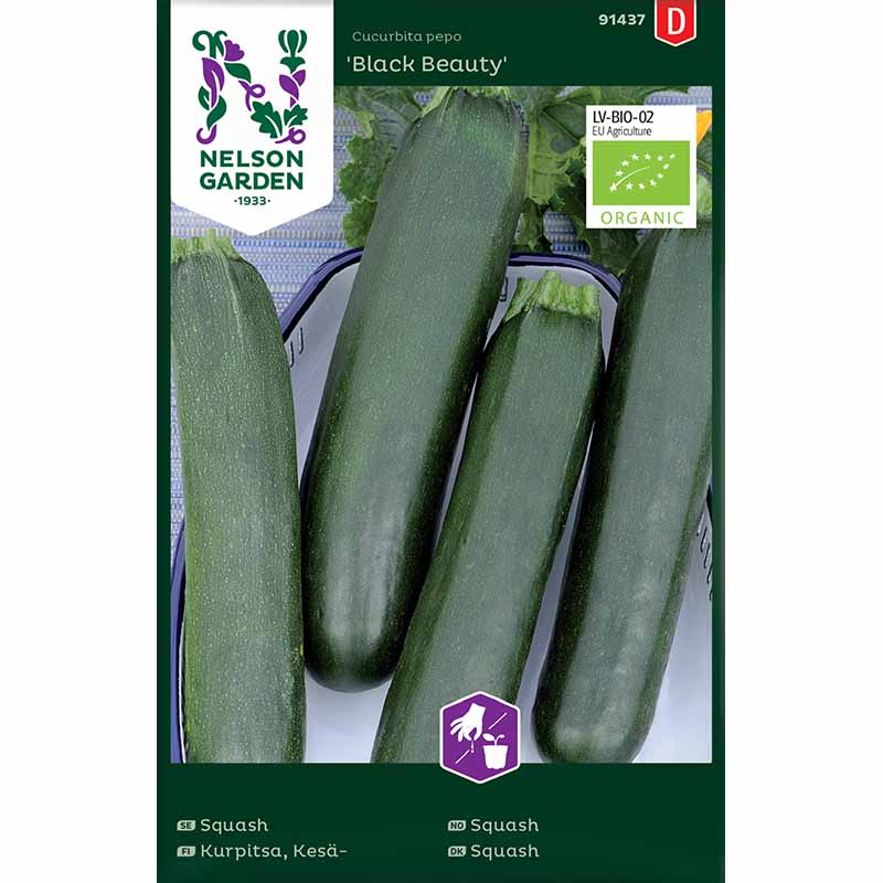 Kesäkurpitsa / Kesäkurpitsa 'Black Beauty'