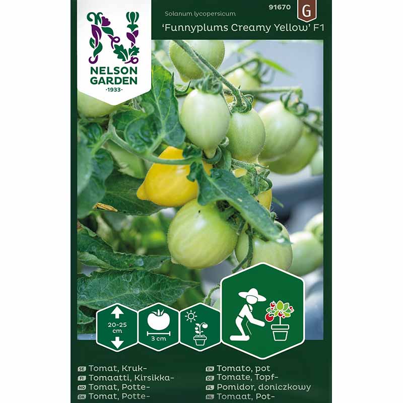 Tomato 'Funnyplums Creamy Yellow' F1
