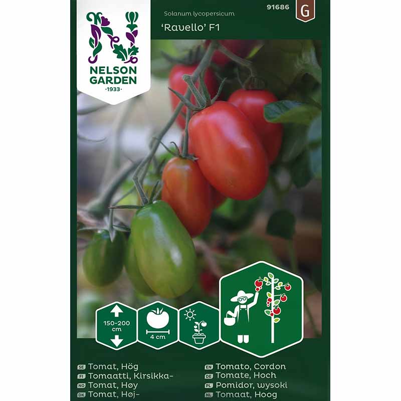 Tomaatti 'Ravello' F1