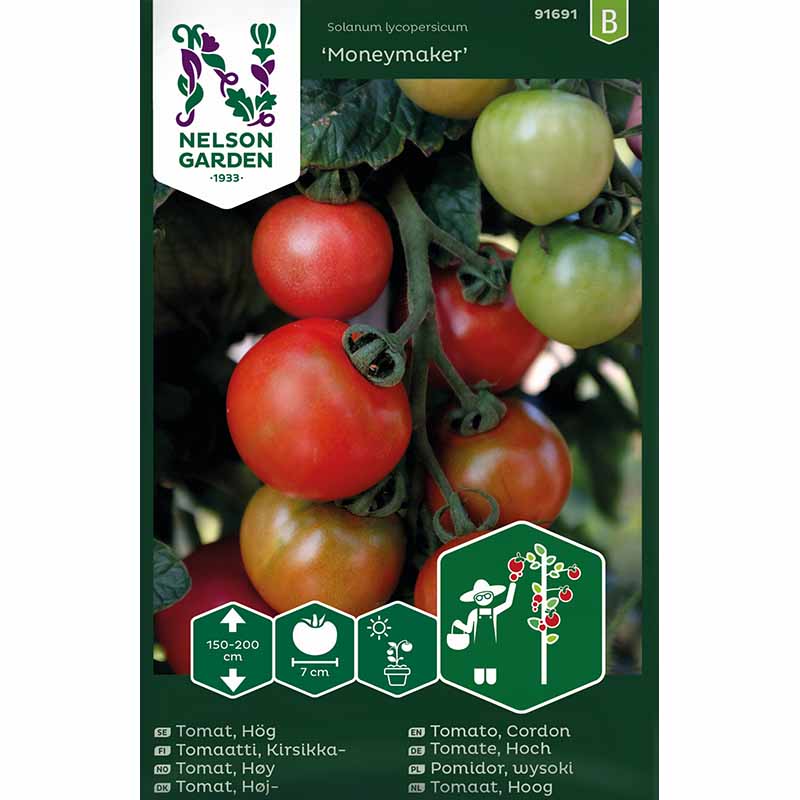 Tomaatti 'Moneymaker'