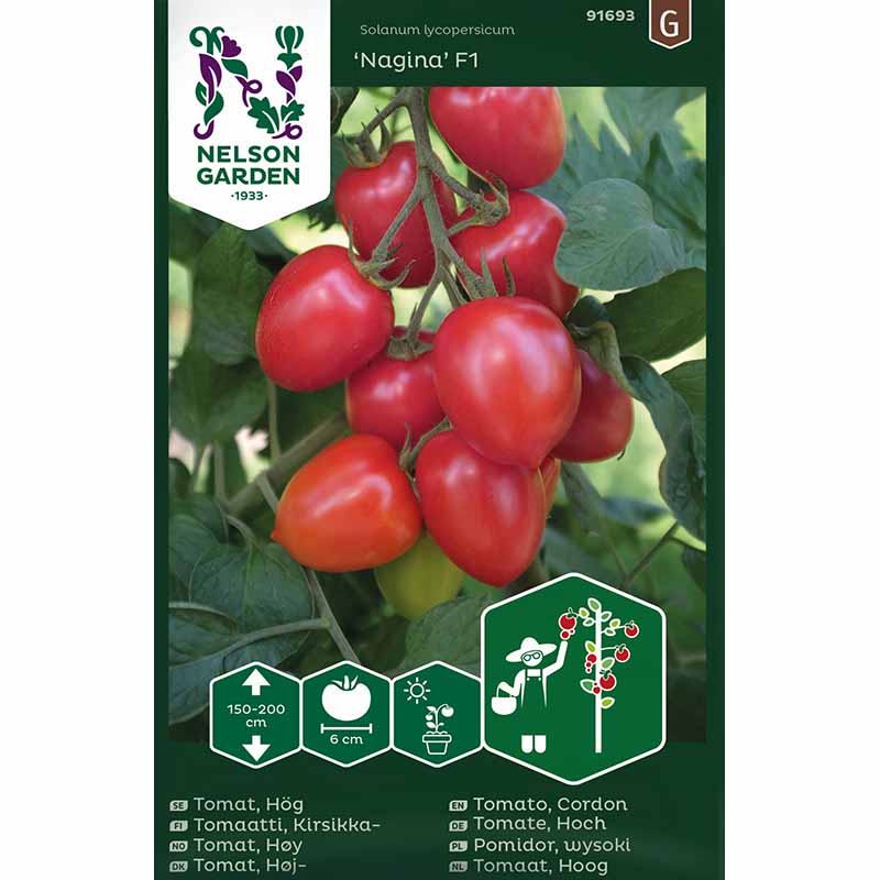 Tomaatti 'Nagina' F1