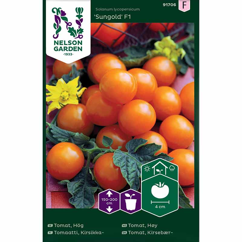 Kirsikkatomaatti 'Sungold' F1