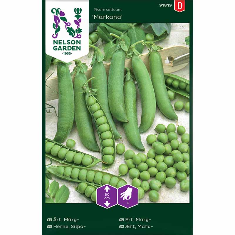 Pea , halvhög 'Markana'