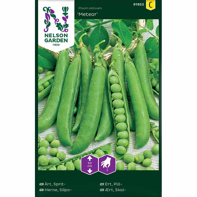 Sprit ärt, låg Meteor