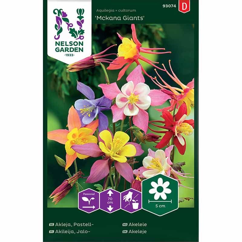 Pastelliakileija 'McKana Giants'