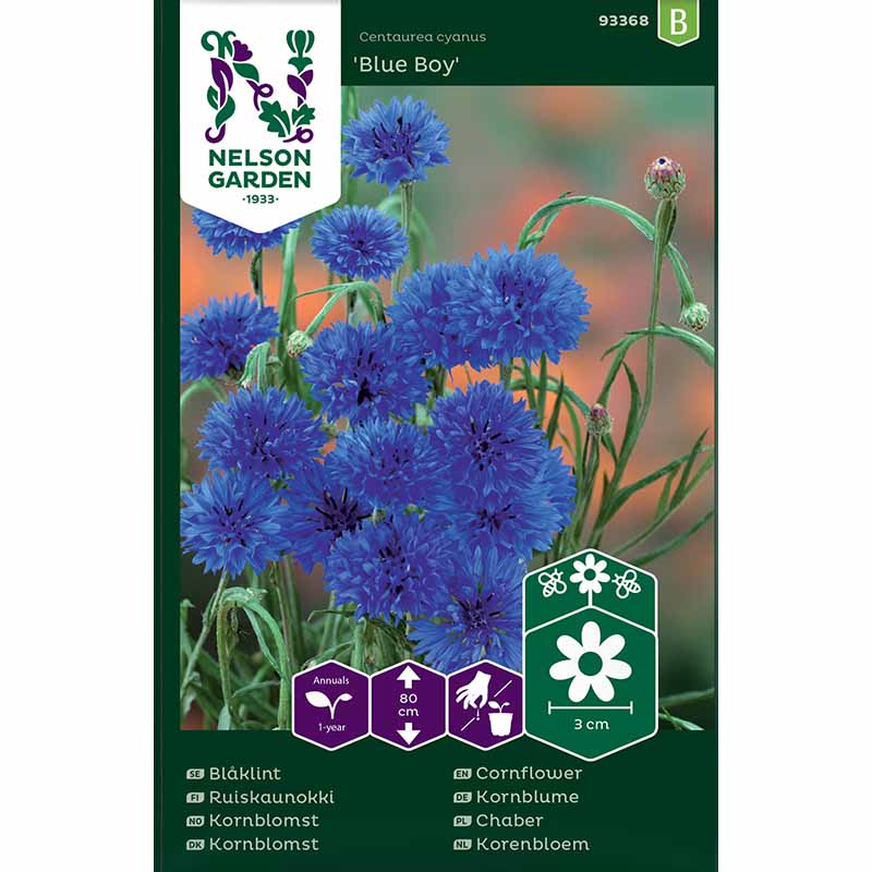 Ruiskaunokki 'Blue Boy'