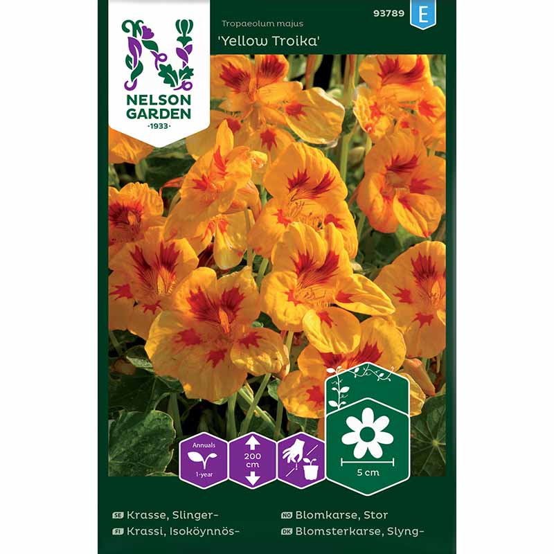 Köynnöskrassi 'Yellow Troika'