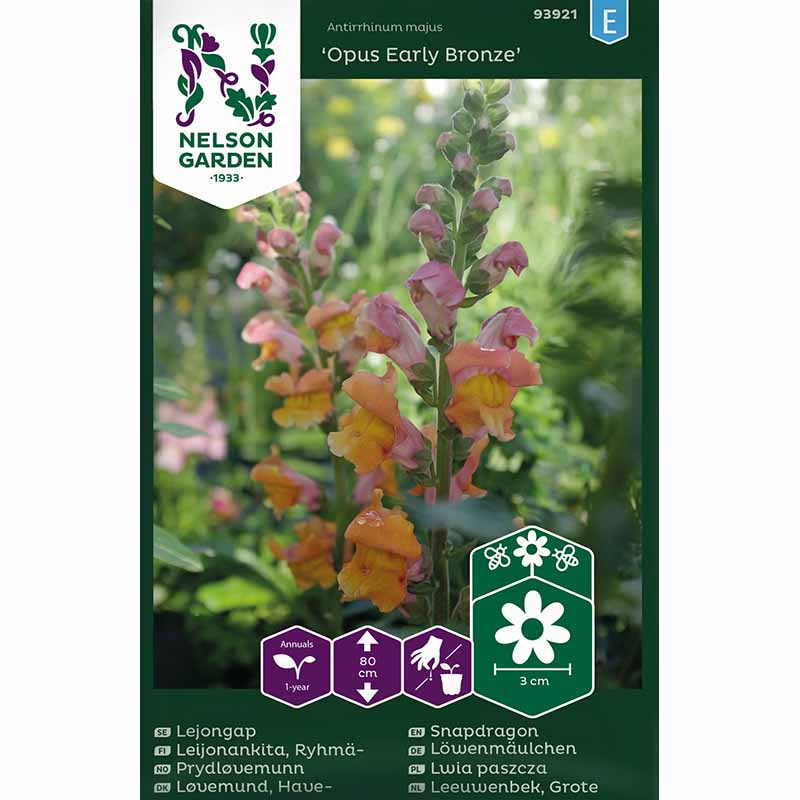 Leijonankita 'Opus Early Bronze' F1