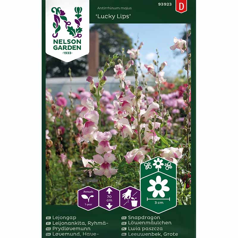 Leijonankita 'Lucky Lips'