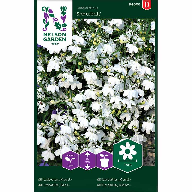 Reunalobelia 'Snowball'