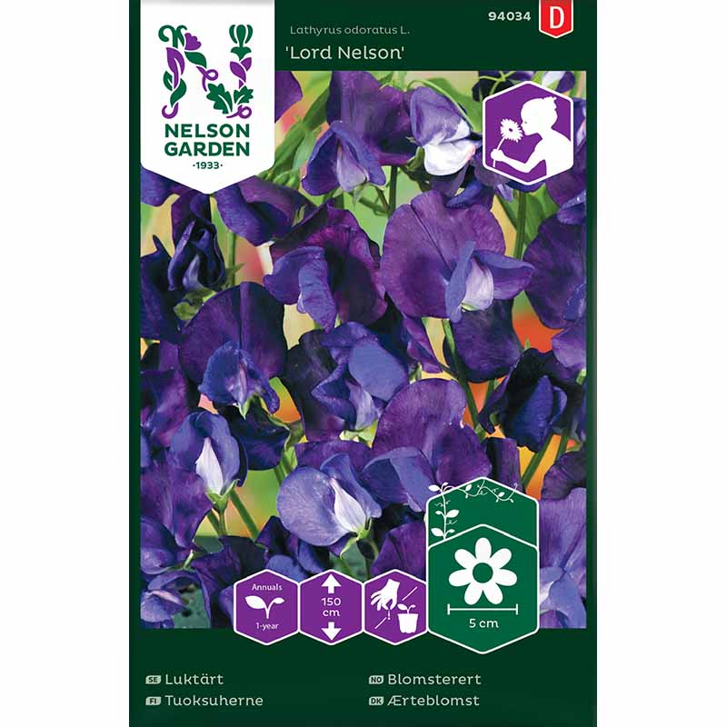 Tuoksuherne 'Lord Nelson'