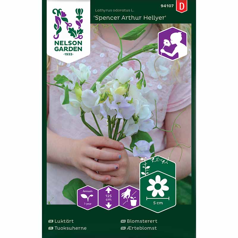 Tuoksuherne 'Spencer Arthur Hellyer'