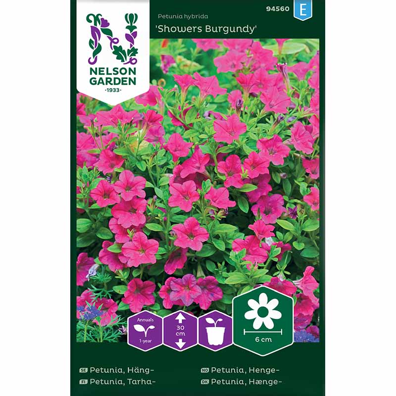 Petunia Showers Burgundy
