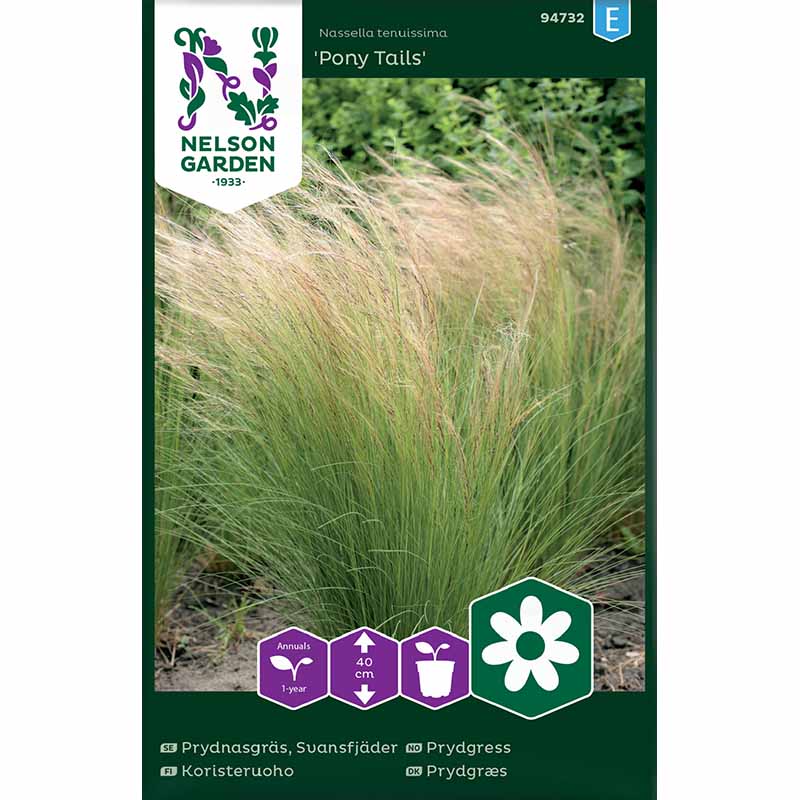 Mexikon sulkahirssi 'Pony Tails'