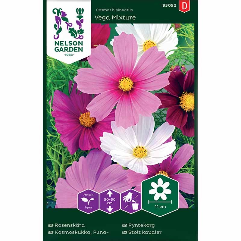 Kosmoskukka 'Vega Mixture'