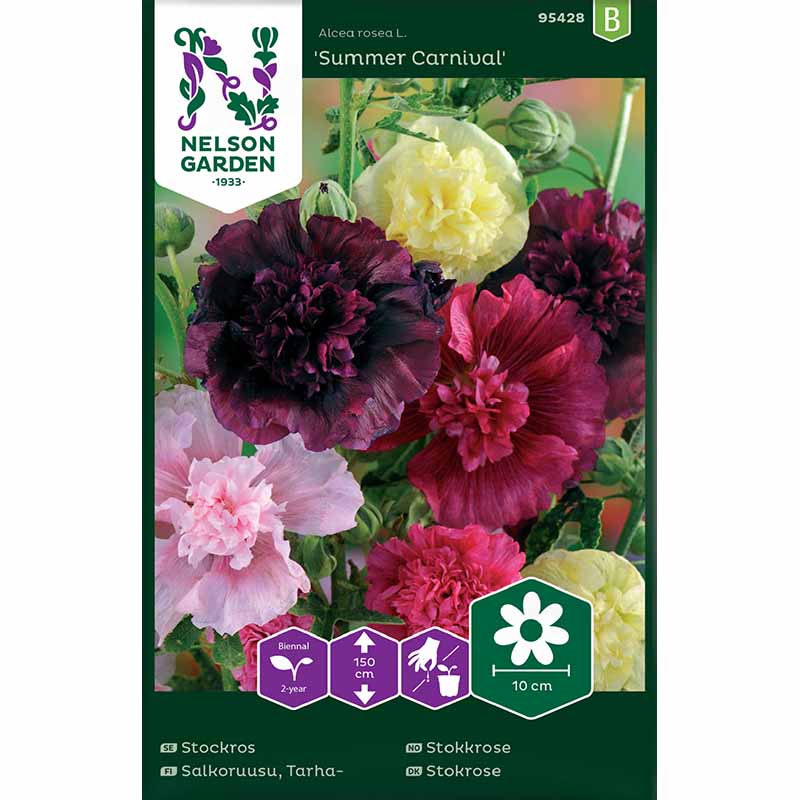 Salkoruusu 'Summer Carnival'