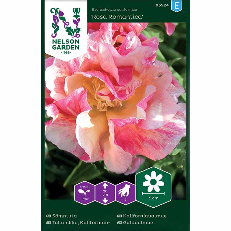 Unikko 'Rosa Romantica'