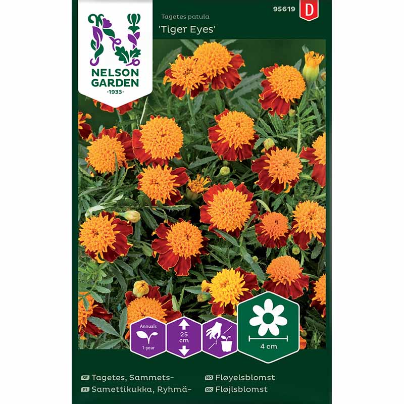 Samettikukka 'Tiger Eyes'
