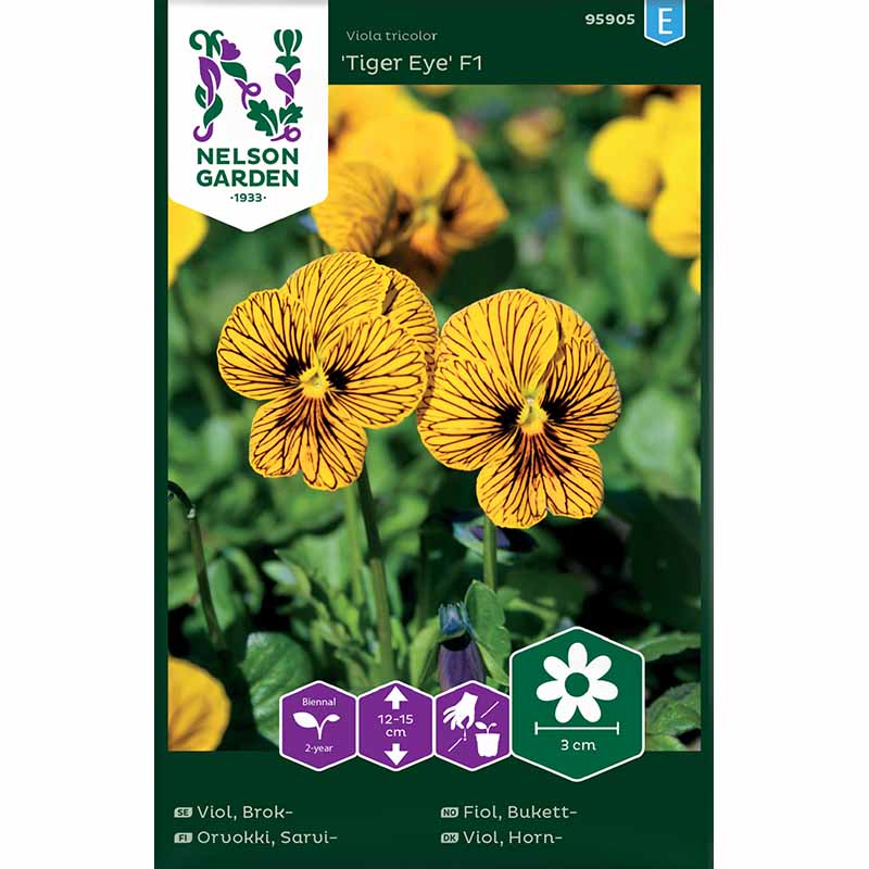 Kirjoviola 'Tiger Eye' F1