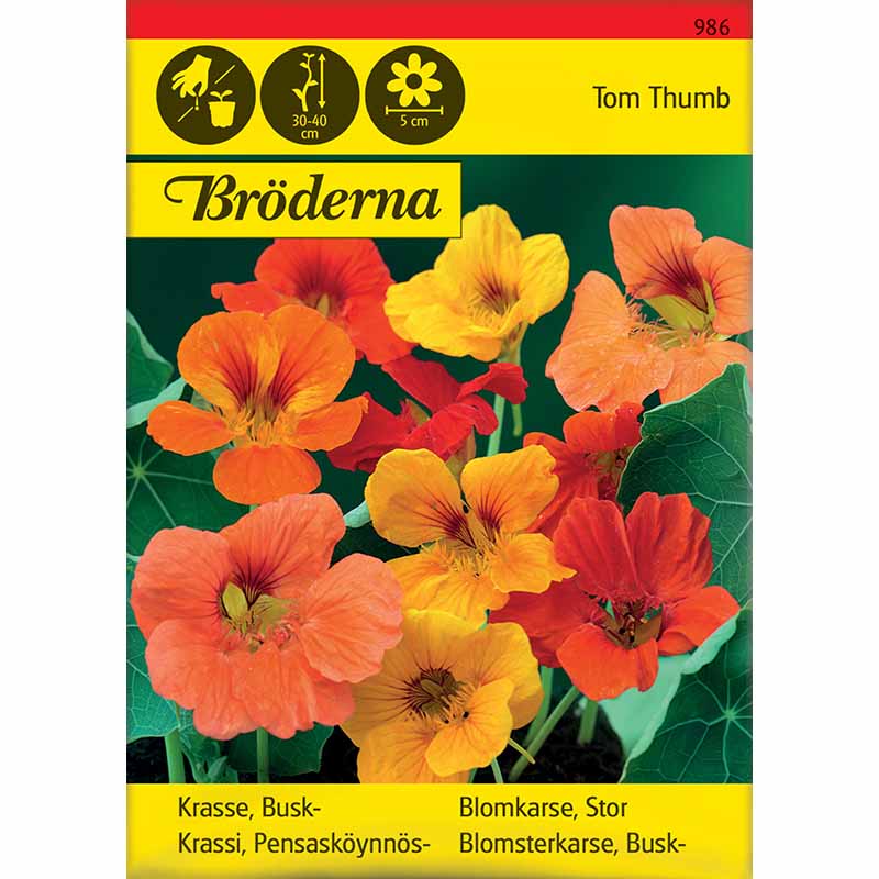 Pensasrassi 'Tom Thumb'