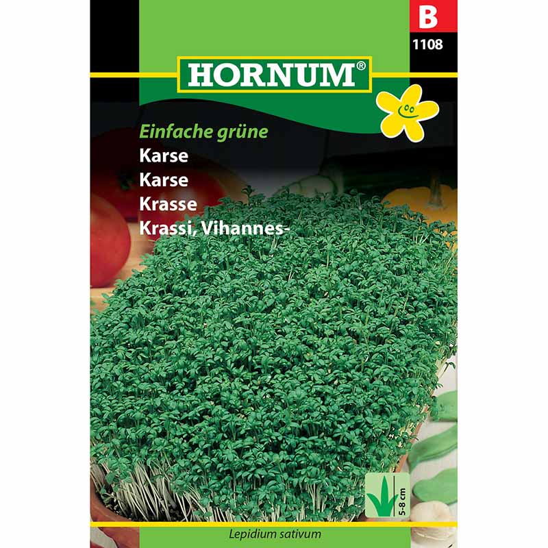 Vesikrassi 'Einfache grüne'