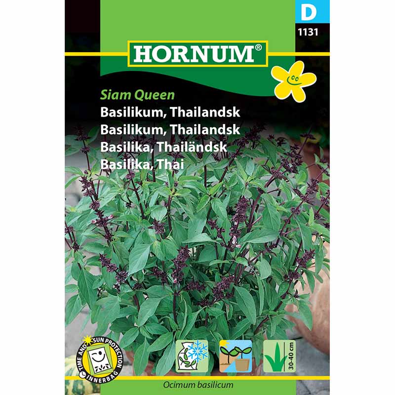 Thai-basilika 'Siam Queen'