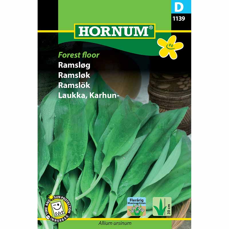 Karhunlaukka 'Forest Floor'