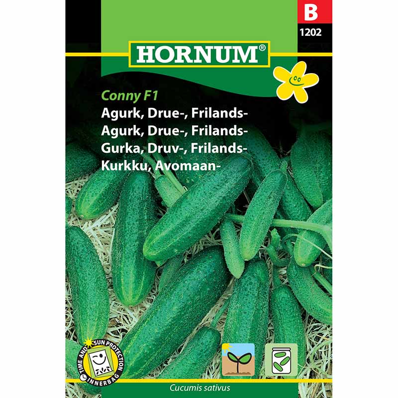 Avomaankurkku 'Libelle' F1