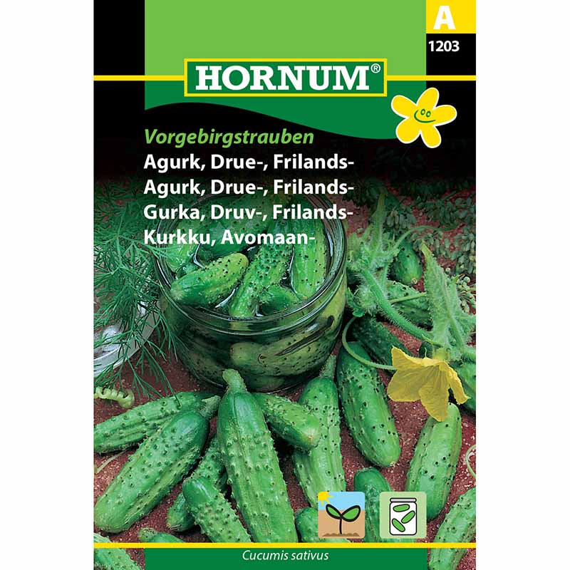 Avomaankurkku 'Vorgebirgstrauben'