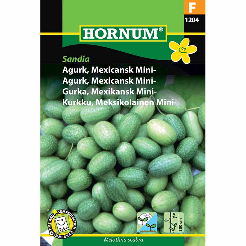 Meksikolainen minikurkku 'Sandia'