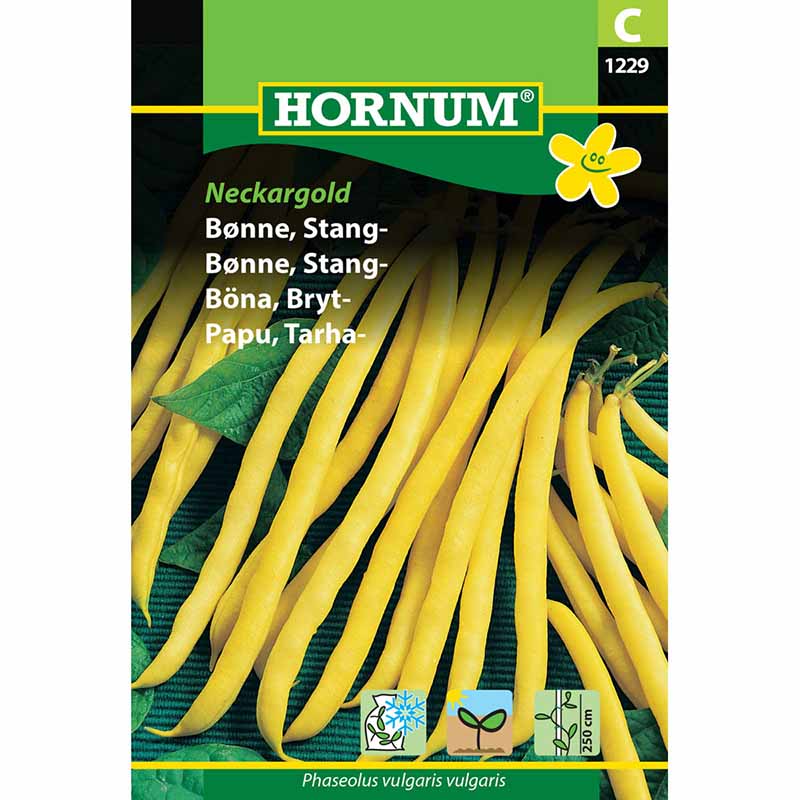 Taittopapu 'Neckargold'